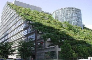 Edificio ecologico