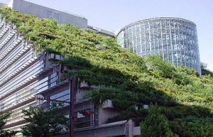 Edifici verdi, quali sono i vantaggi secondo la Commissione Europea?